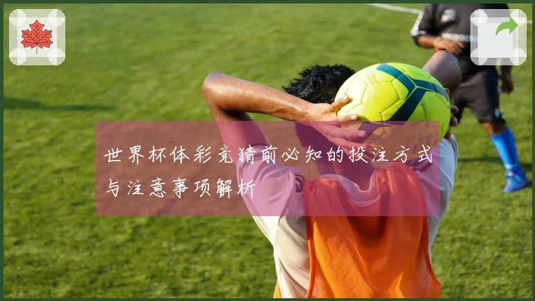 世界杯体彩竞猜前必知的投注方式与注意事项解析