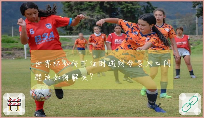 世界杯如何下注时遇到登录入口问题该如何解决？