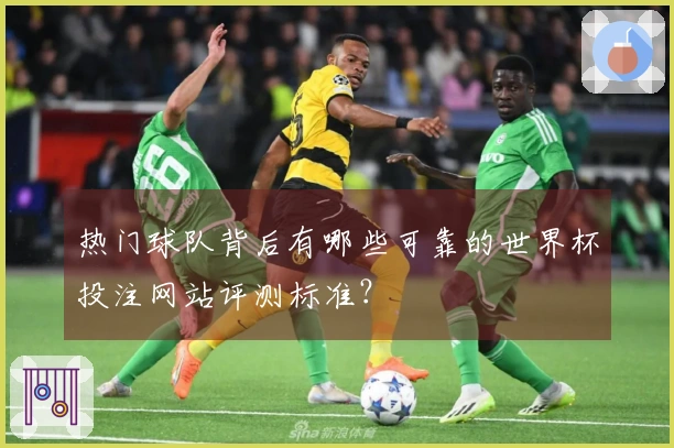 热门球队背后有哪些可靠的世界杯投注网站评测标准？