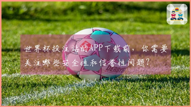 世界杯投注站的APP下载前，你需要关注哪些安全性和信誉性问题？