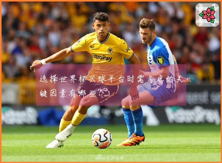 选择世界杯买球平台时需考虑的关键因素有哪些？