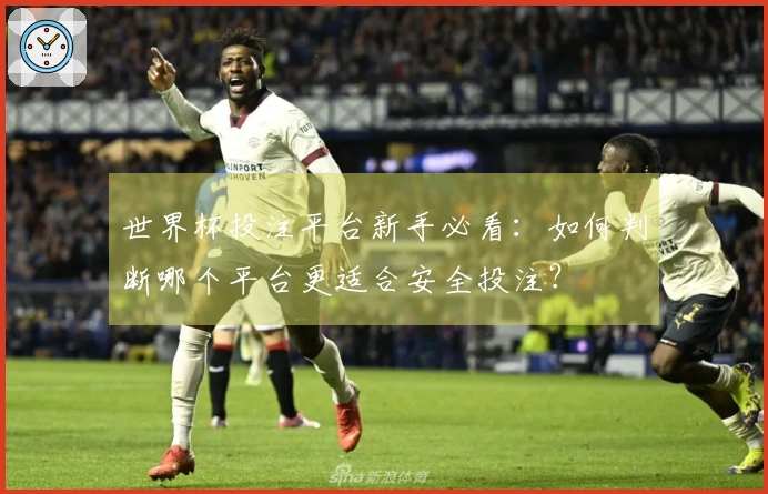 世界杯投注平台新手必看：如何判断哪个平台更适合安全投注？