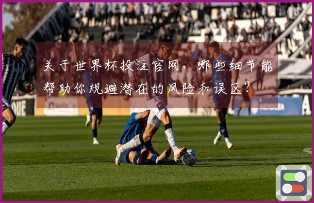 关于世界杯投注官网，哪些细节能帮助你规避潜在的风险和误区？