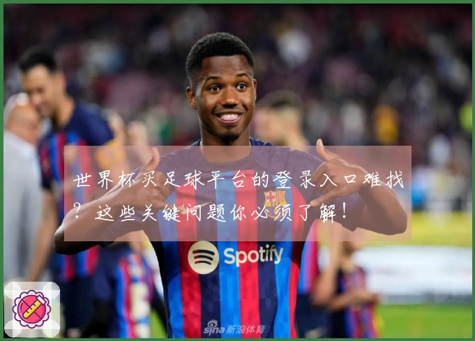 世界杯买足球平台的登录入口难找？这些关键问题你必须了解！