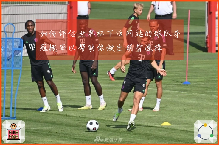 如何评估世界杯下注网站的球队夺冠概率以帮助你做出明智选择