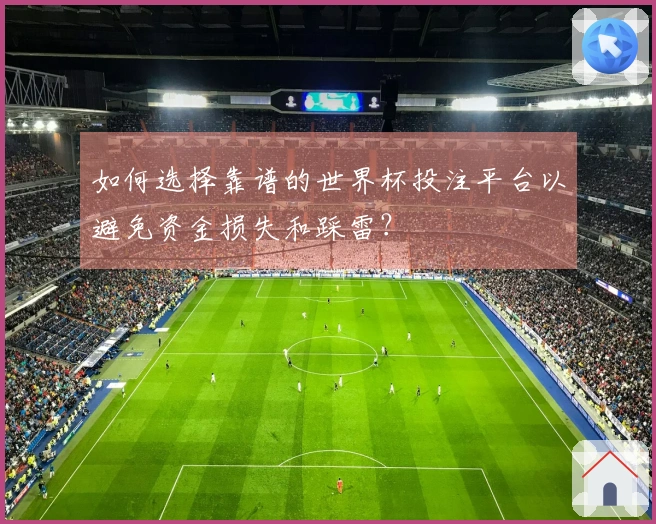 如何选择靠谱的世界杯投注平台以避免资金损失和踩雷？