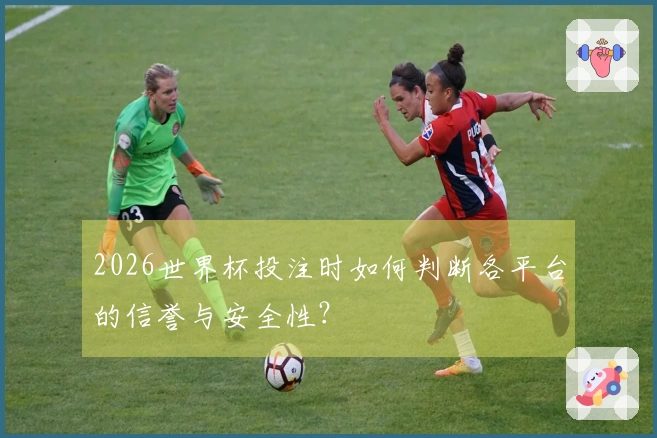 2026世界杯投注时如何判断各平台的信誉与安全性?