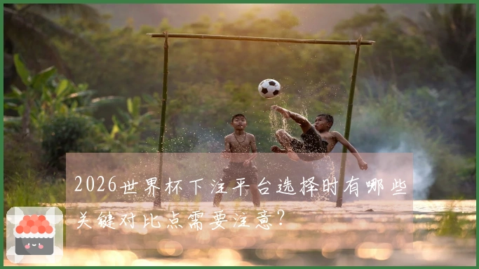 2026世界杯下注平台选择时有哪些关键对比点需要注意？